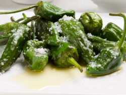 Pimientos del Padrón