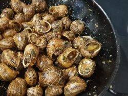 Caracoles de Lleida a la Gormanda